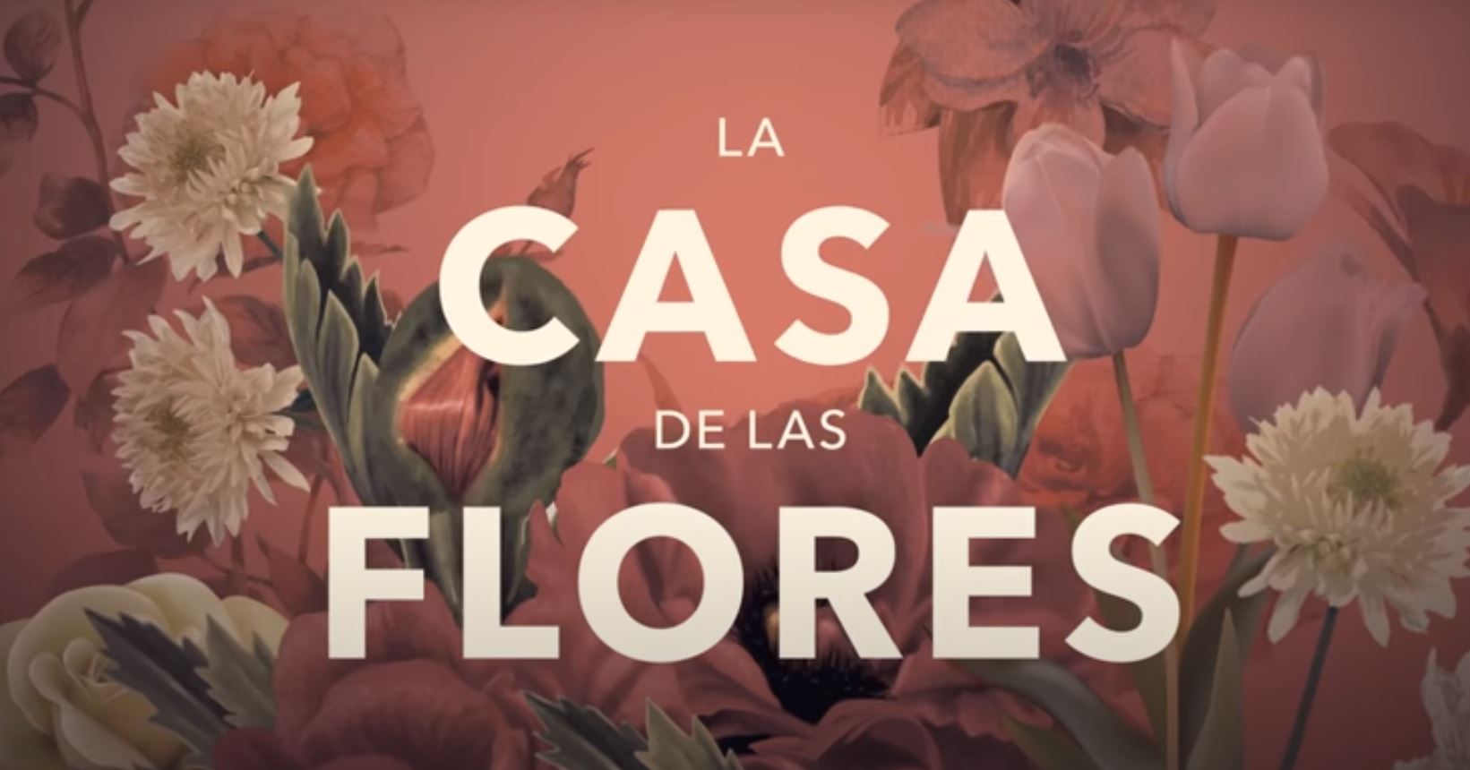 casa de las flores 3