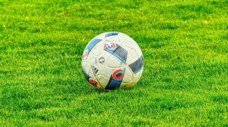 football, grass, ball-2778583.jpg