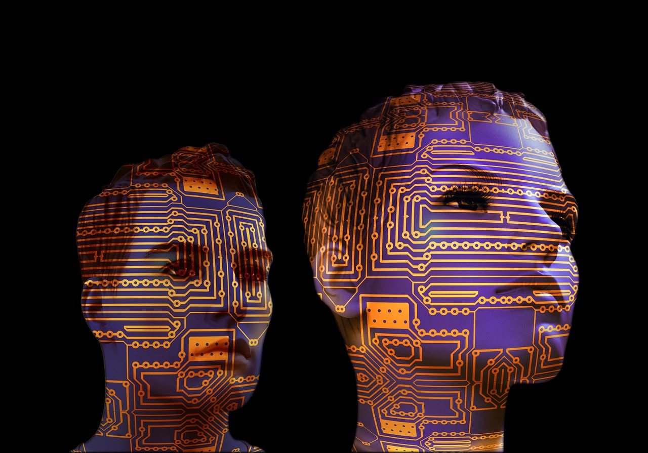 mannequin-circuit-board-face-915135